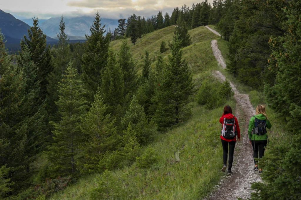 Proven Tips to Improve Your Daily Life in 2026